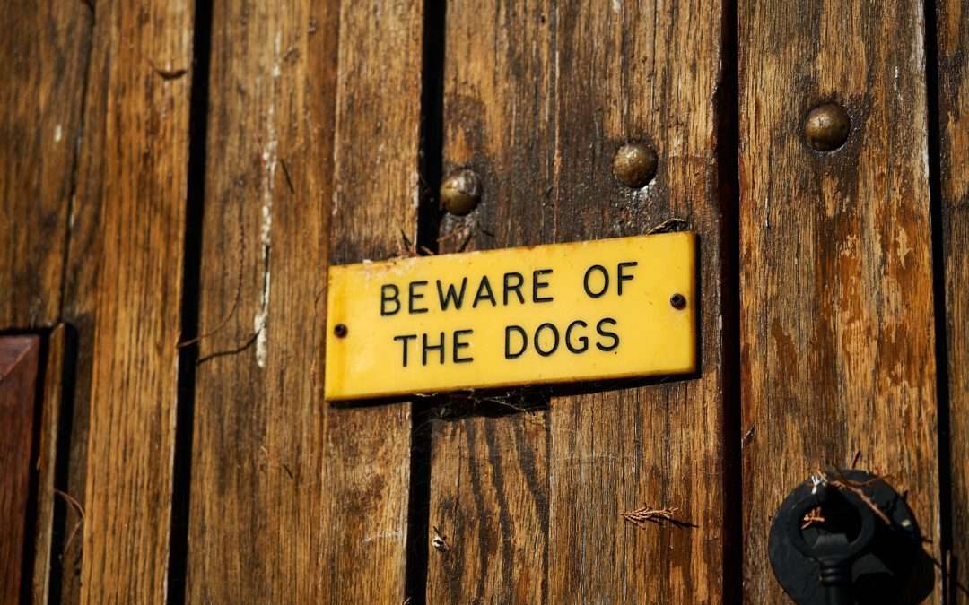 Yellow Beware Of Dogs Sign On A Wooden Door.